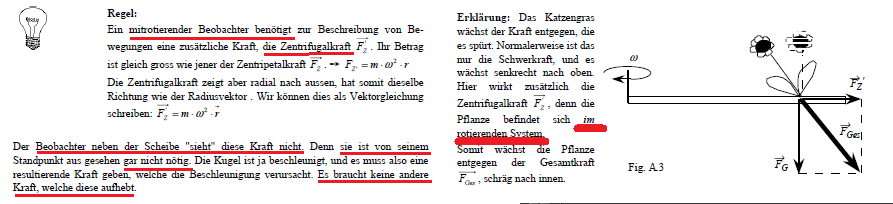 Katzengras.png
