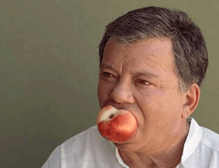 Untitled-2.gif