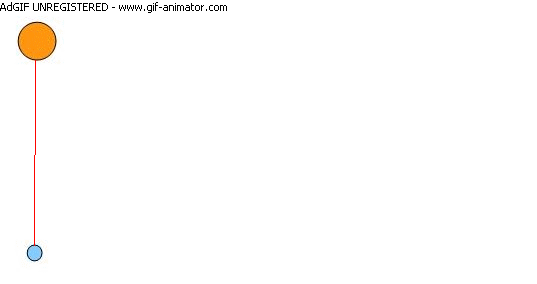 animation.gif