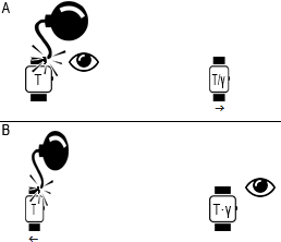 rdg.png