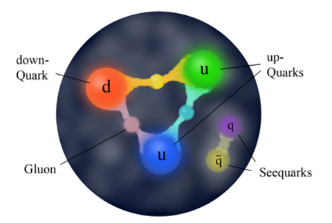 gluon.jpg