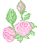 rosen00001.gif