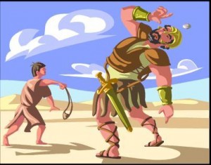 davidgoliath-300x235.jpg