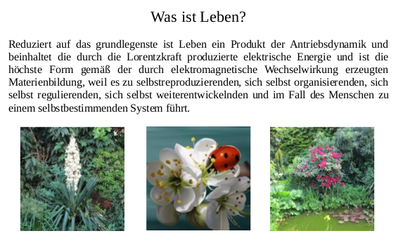 was ist Leben 85%.png