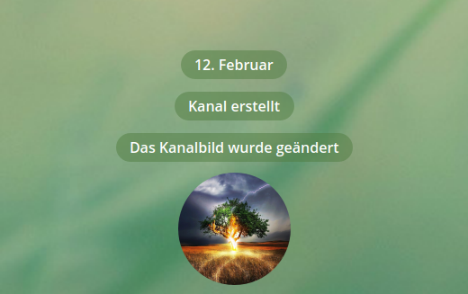 elektrisches Universum.png