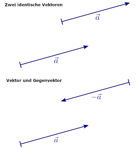 Vektoren.png