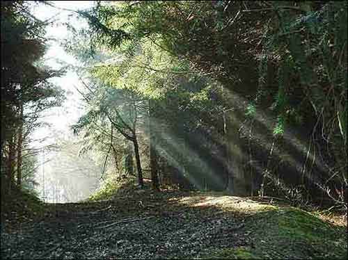 crepuscular_rays.jpg